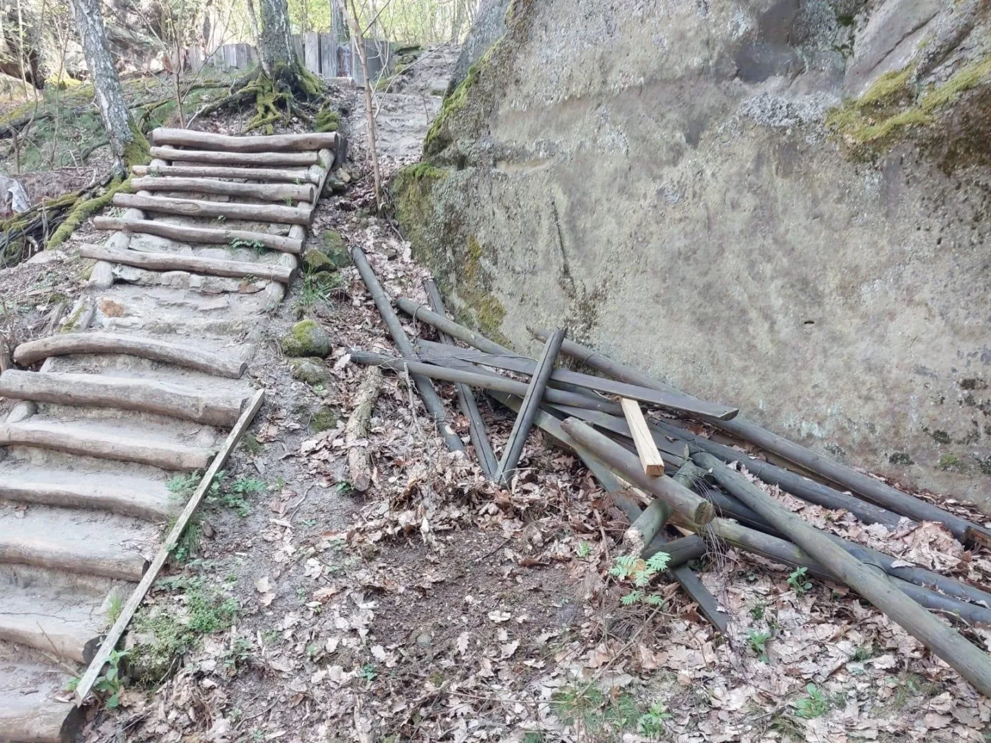 U Drábských světniček hnízdí sokoli, Lesy ČR musí odložit obnovu infrastruktury