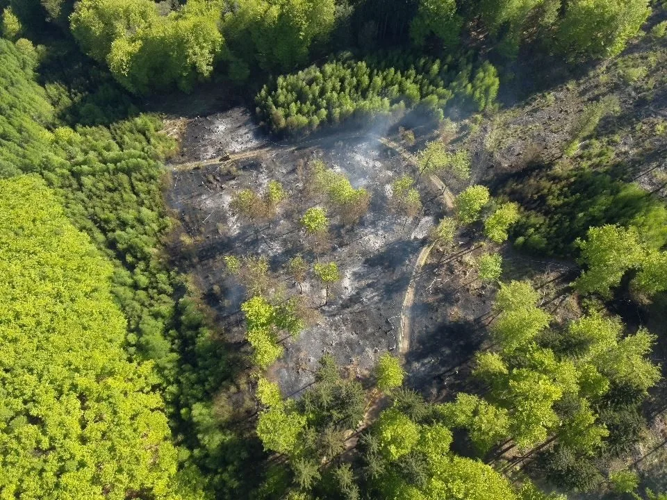 U Andělské Hory hoří les. Na místě je 15 hasičských jednotek, situaci monitoruje dron