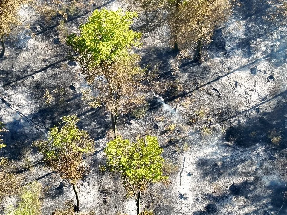 U Andělské Hory hoří les. Na místě je 15 hasičských jednotek, situaci monitoruje dron