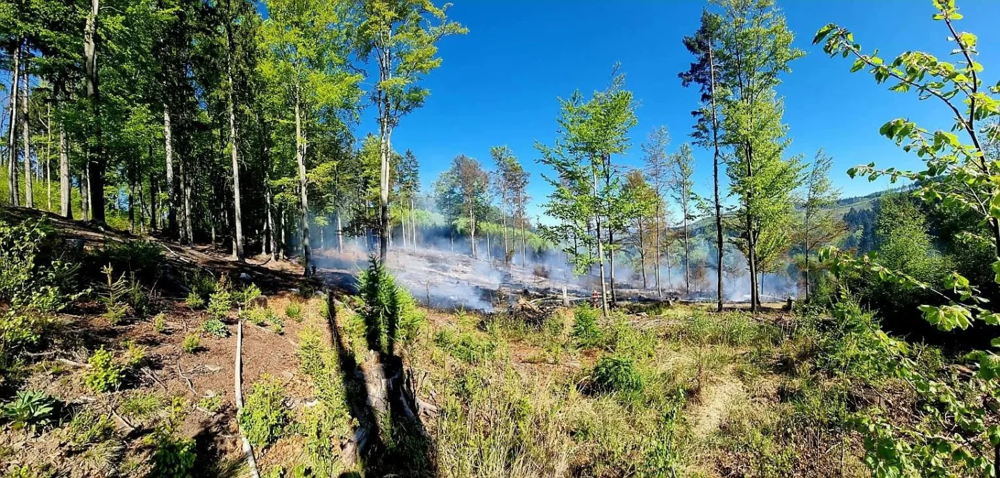 U Andělské Hory hoří les. Na místě je 15 hasičských jednotek, situaci monitoruje dron