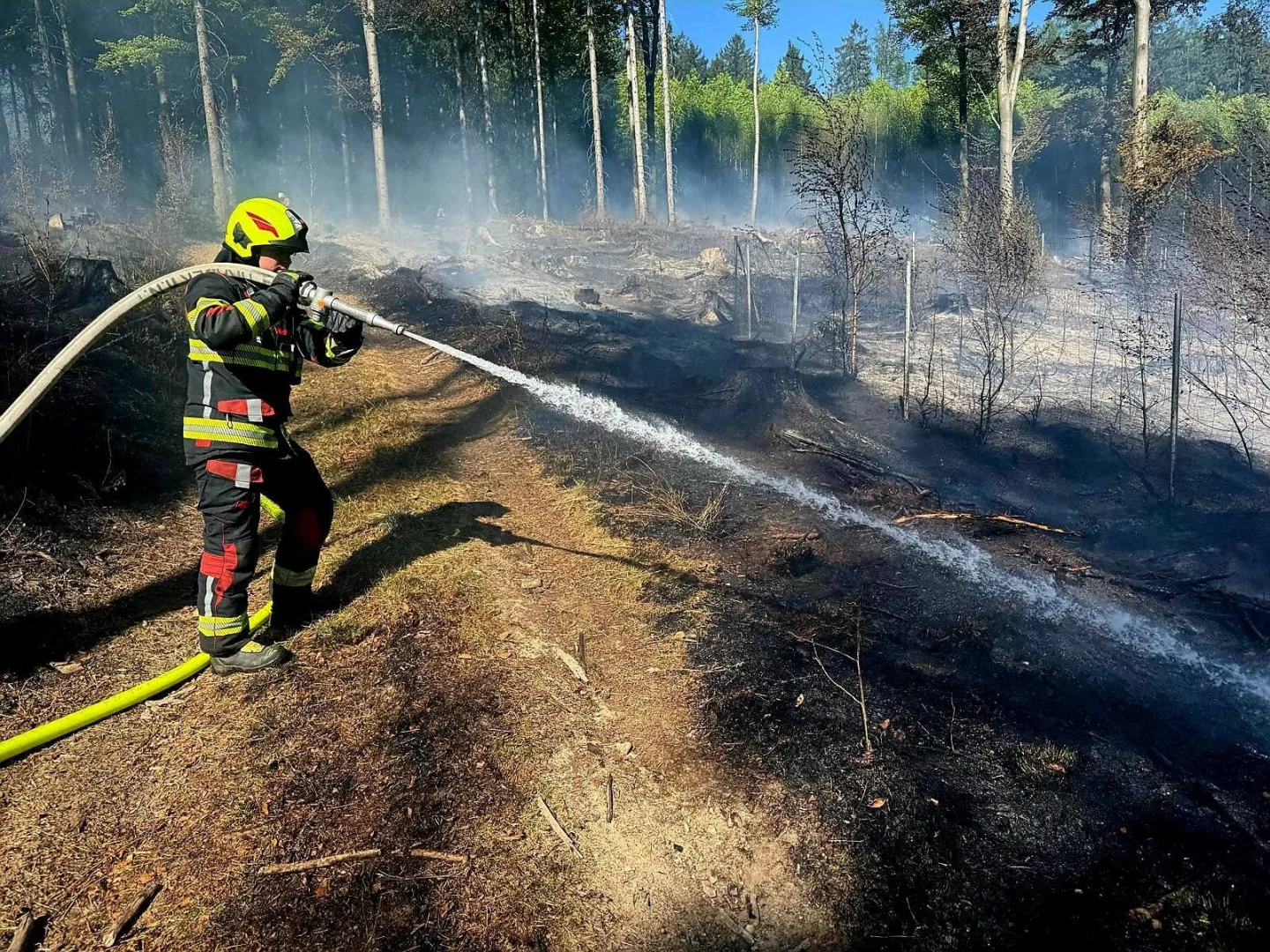 U Andělské Hory hoří les. Na místě je 15 hasičských jednotek, situaci monitoruje dron