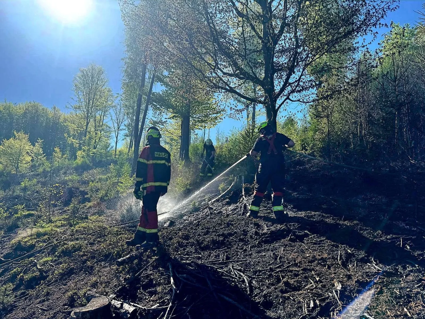 U Andělské Hory hoří les. Na místě je 15 hasičských jednotek, situaci monitoruje dron