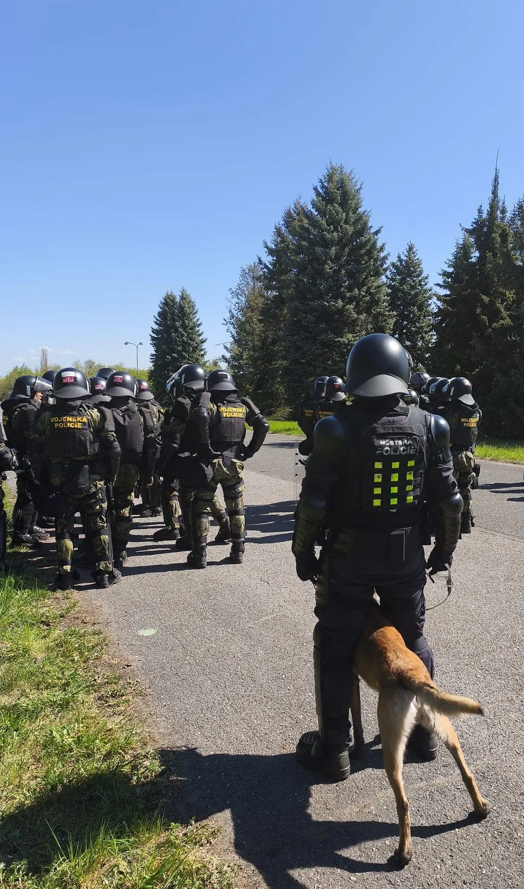 Riziková utkání, demonstrace. Psovodi libereckých strážníků cvičili na zvládání davu