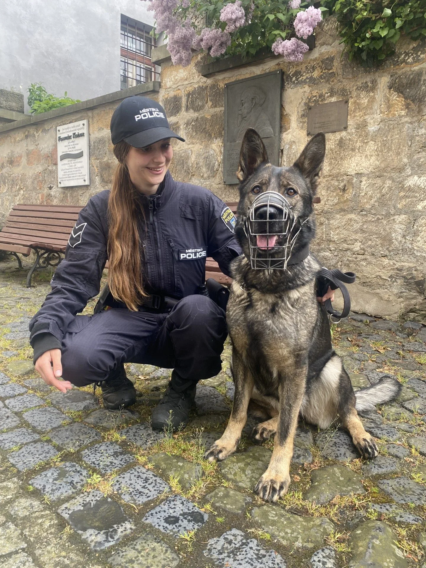 Důležitá posila pro českolipskou městskou policii: fenka Calimera a její dvounohá psovodka