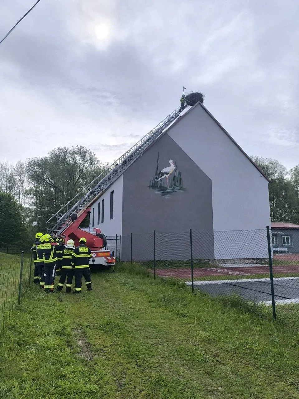 Čápi ve Višňové si do hnízda přinesli plastovou síť, odstraňovali ji na doporučení ornitologů hasiči