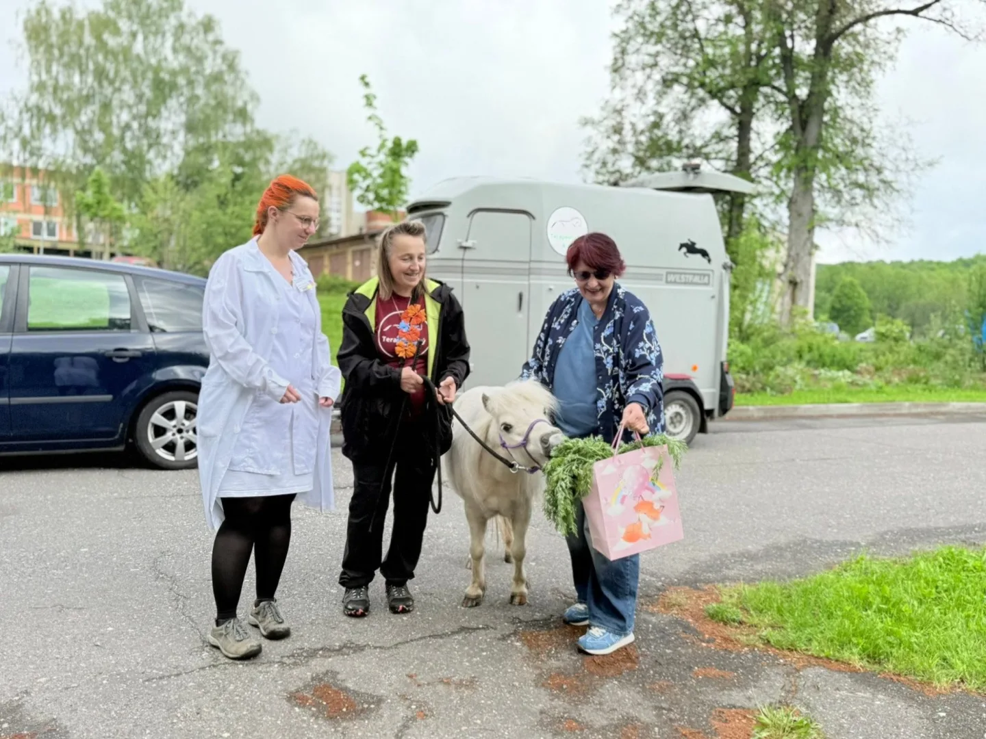 Radost měla ve frýdlantské nemocnici podobu bílé kobylky minikoníka. Pohladit si ji chtěl každý