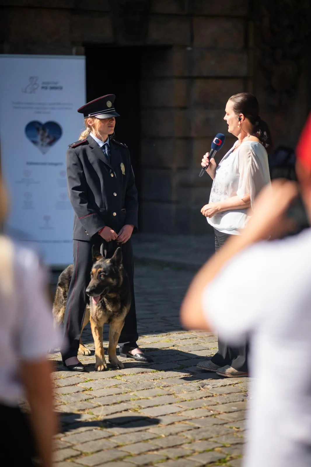 Je to oficiální: má Statečné psí srdce. Psí policejní hrdina z Liberce zabodoval v celostátní anketě