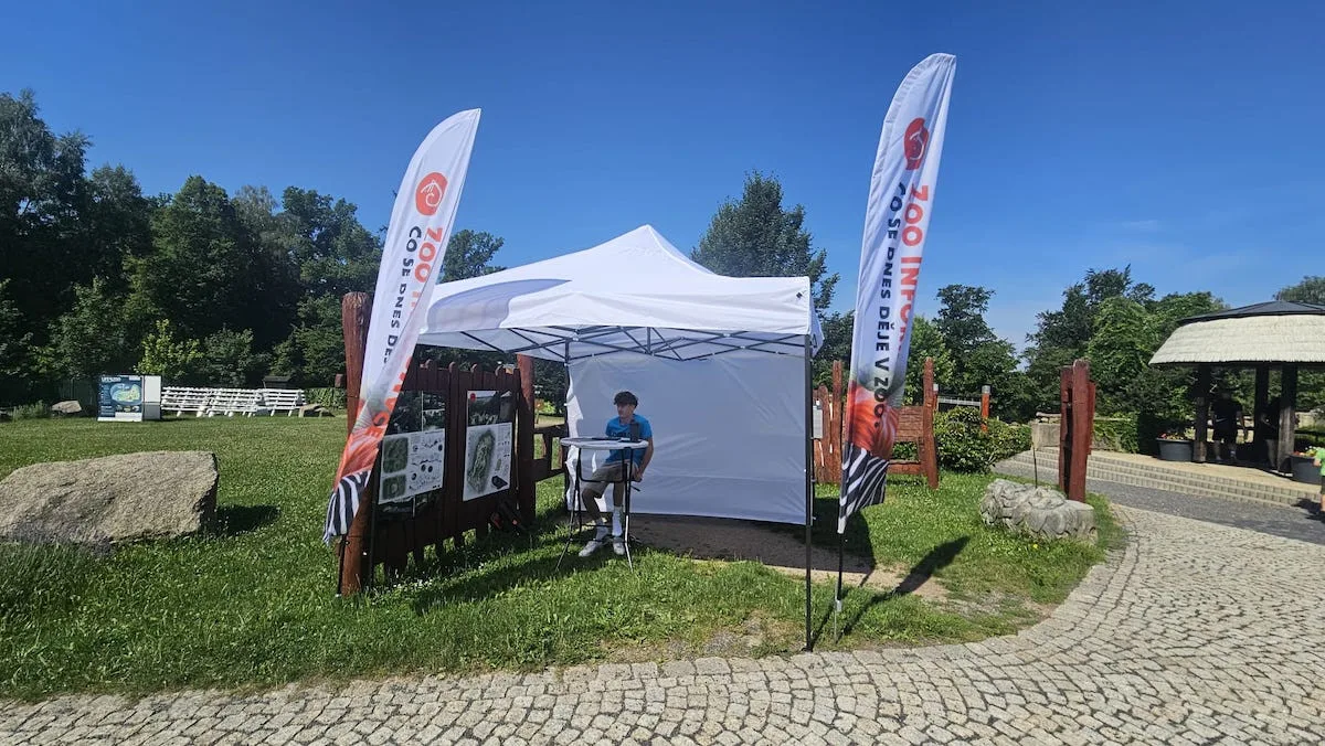 Jóga pro pandy i komentovaná setkání u zvířat. Zoo má program na prázdniny