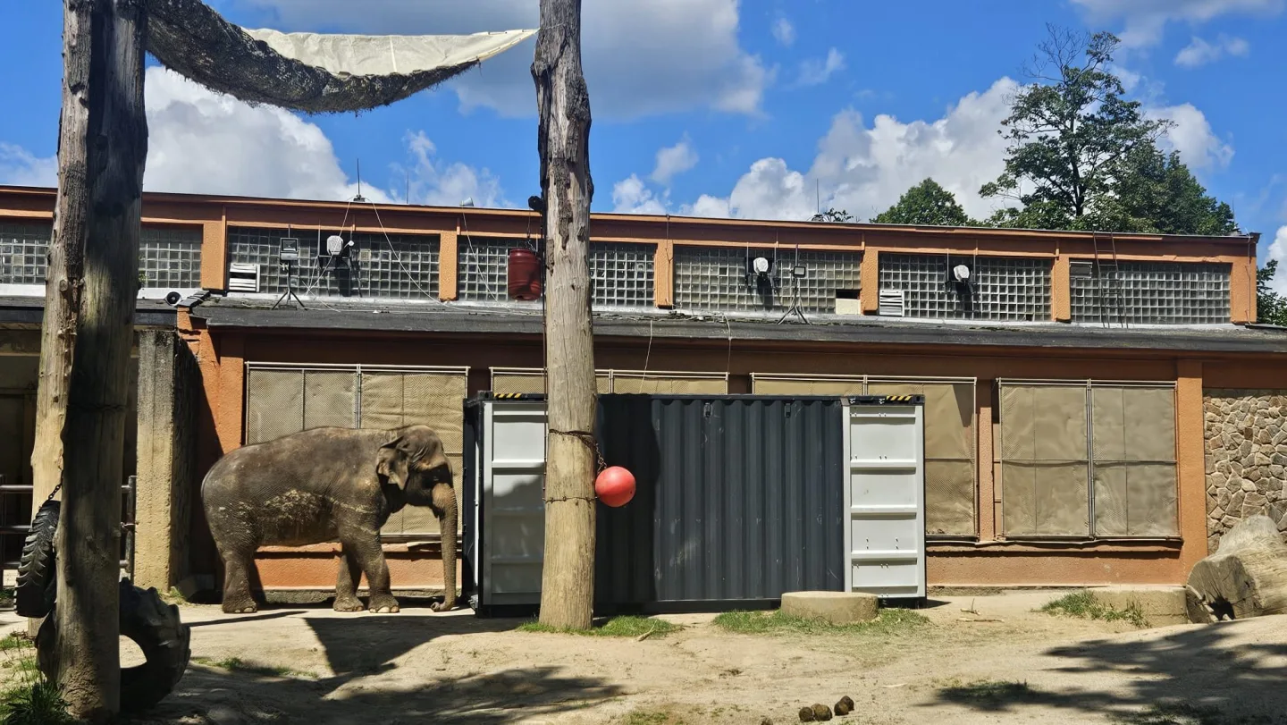 Poslední léto s Balou v Zoo Liberec. Slonice se připravuje na cestu do nového domova