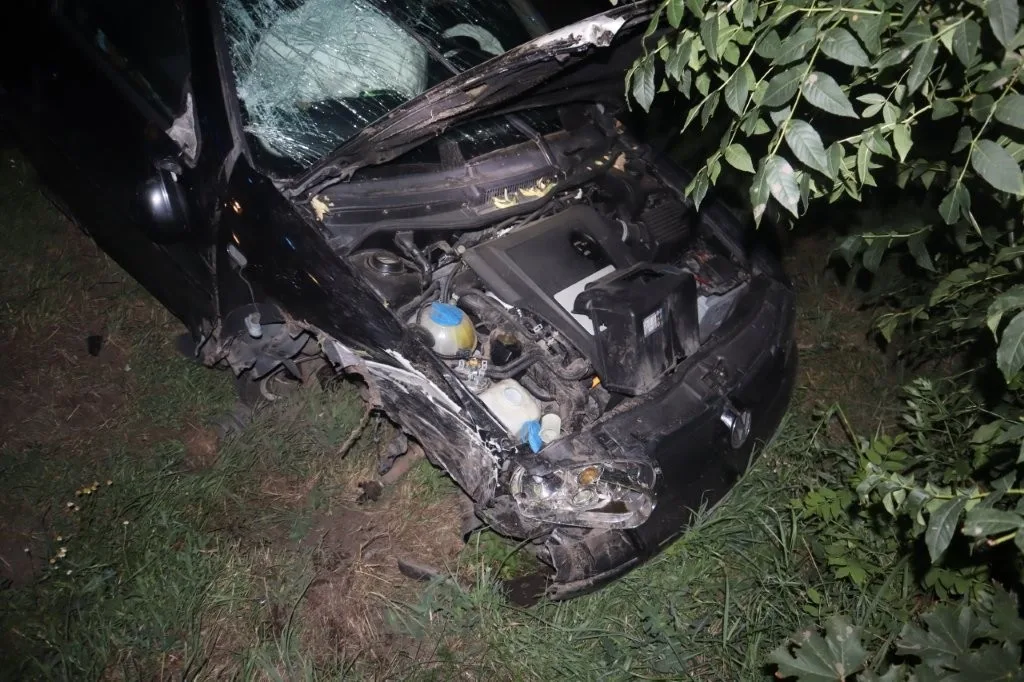 Chtěla za jízdy zapojit kabel nabíječky, skončila ve stromě. Spolujezdkyně putovala do nemocnice