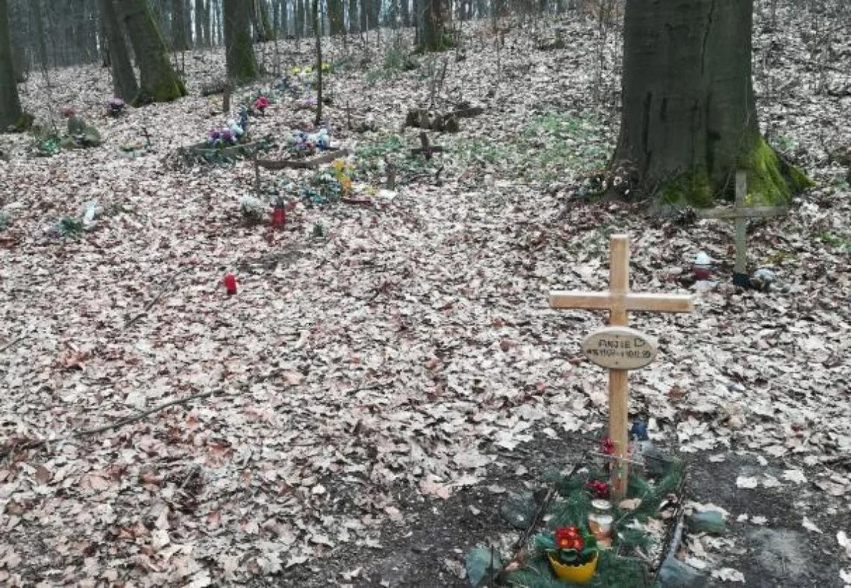 Černý zvířecí hřbitov v Turnově skončí. Lesy ČR nařídily odklizení pomníčků