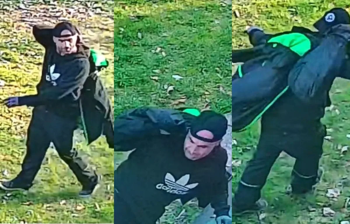 Poznáváte ho? Policisté hledají důležitého svědka vloupání v Liberci
