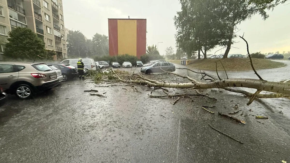Bouřky v Libereckém kraji vyvracely stromy, hasiči měli přes 140 výjezdů