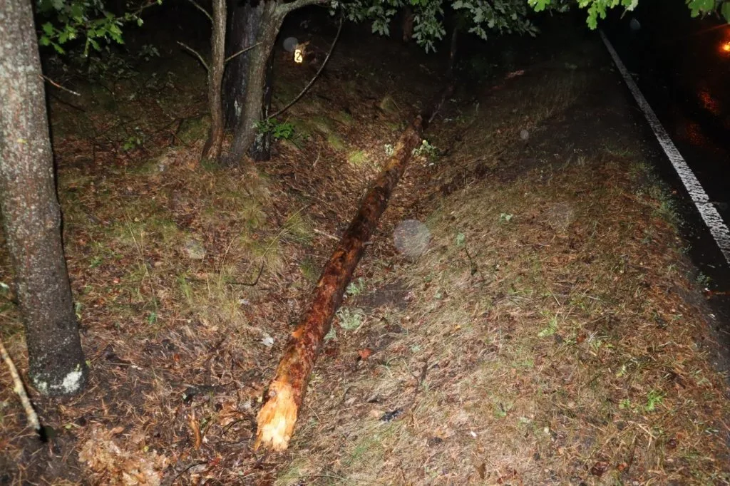 Vážné nehodě unikl jen těsně. Autu spadl do cesty vzrostlý strom