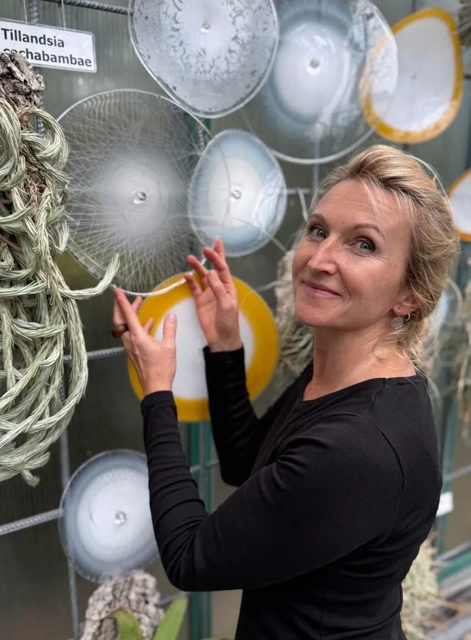 Největší festival skla i v botanické: Fascinující výstava startuje dnes večer