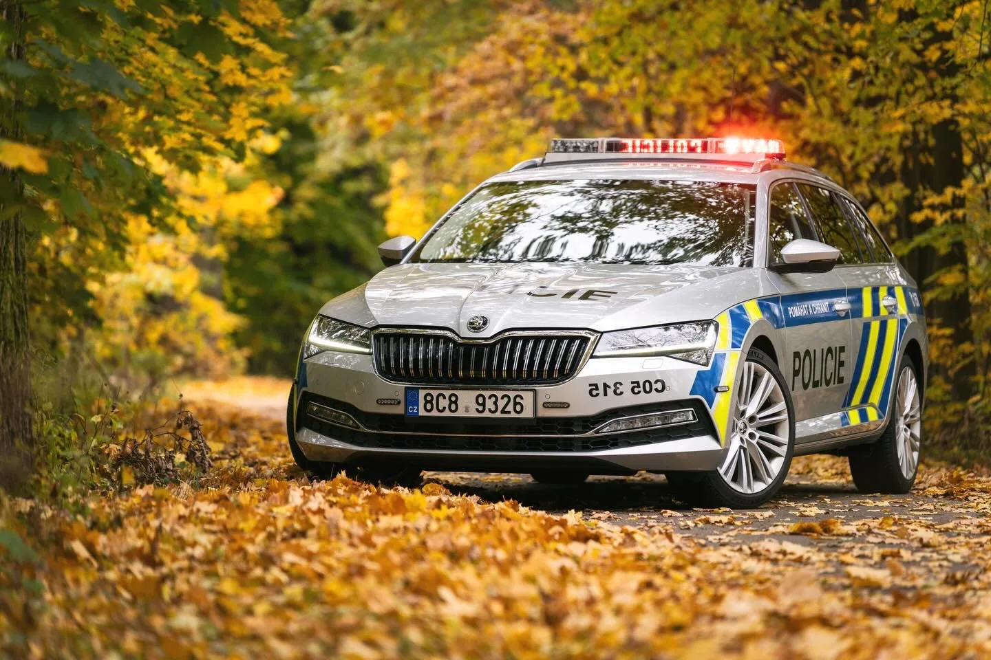 Policie pátrá po osobě, která na Semilsku odložila mrtvé novorozeně