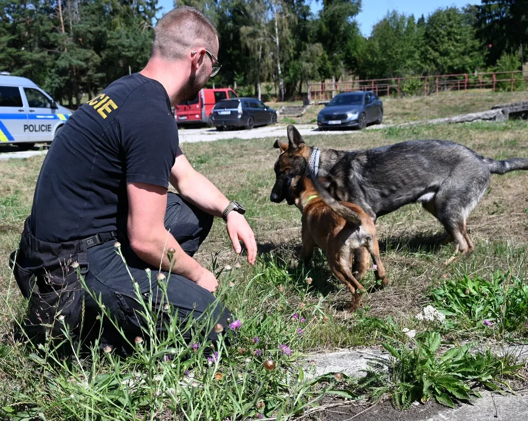 Roztomilé posily u policie: Štěňata Vuky a Soňa cvičí na ochránce a specialistku