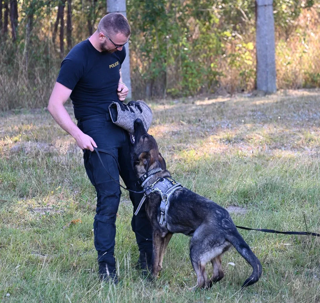Roztomilé posily u policie: Štěňata Vuky a Soňa cvičí na ochránce a specialistku