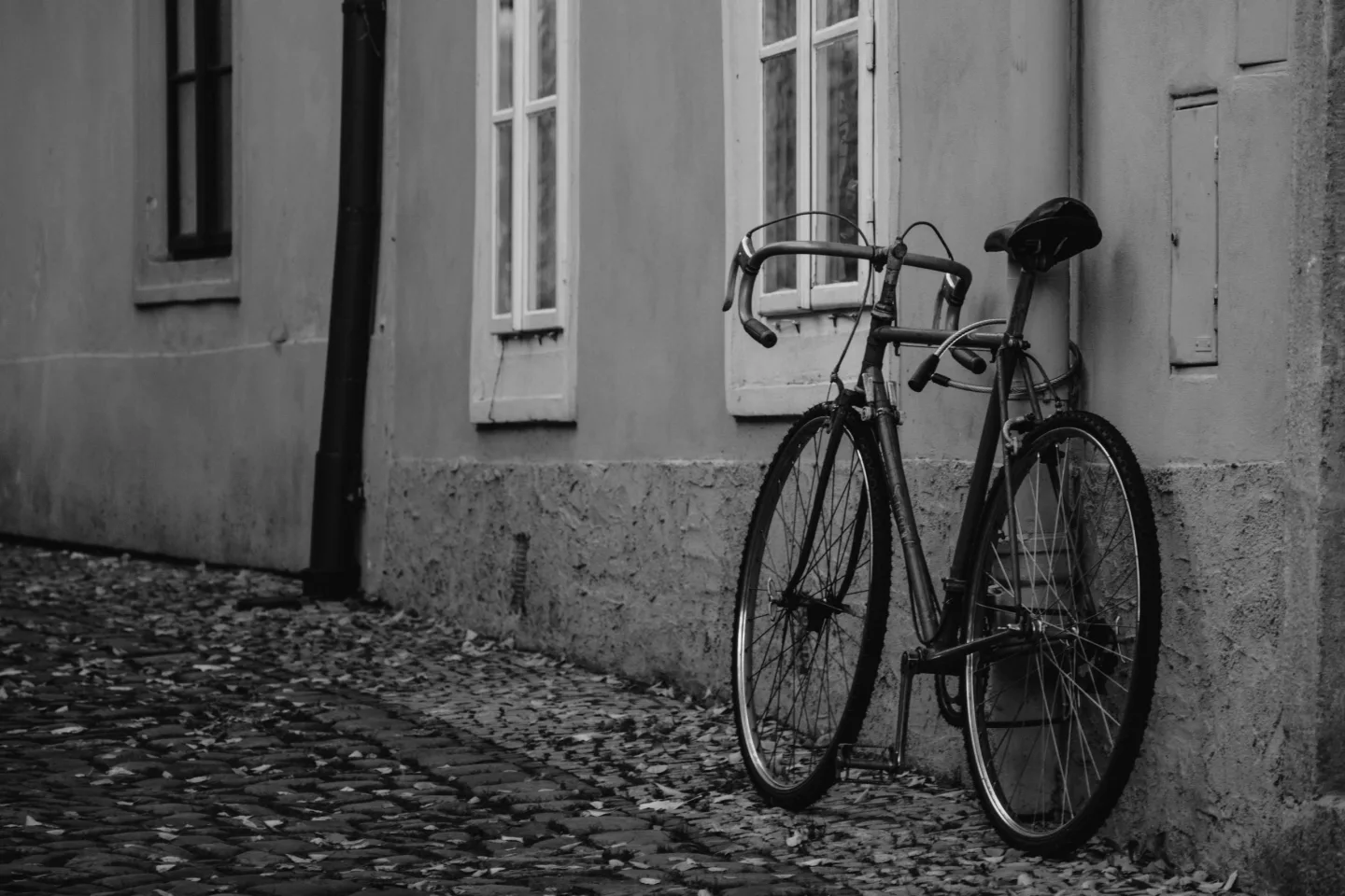 Ukradli kolo a spěchali na vlak. Odjet jim zabránila vyšší moc