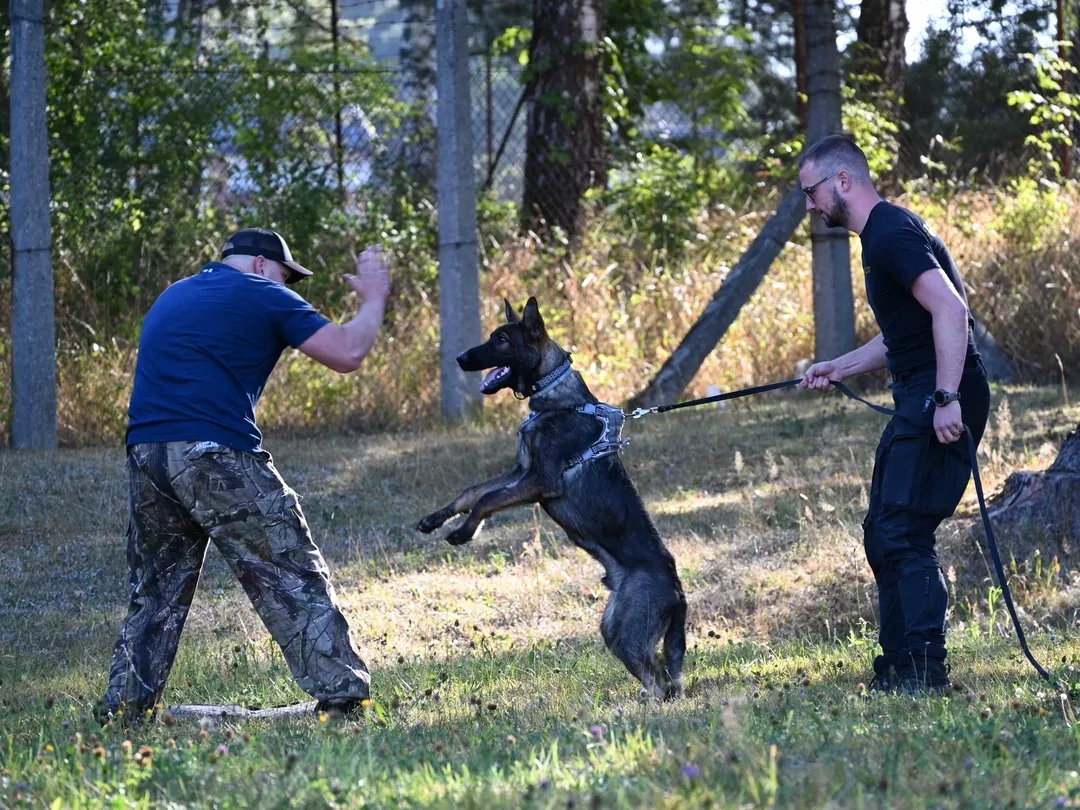 Policejní pes Vulkán, kterému nikdo neřekne jinak, než Vuky.