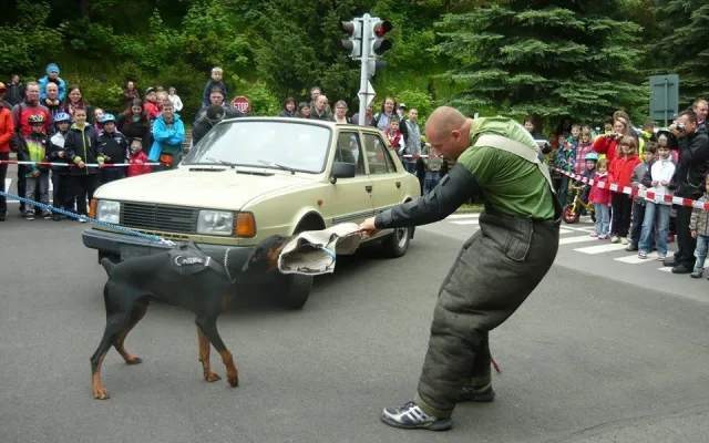 Den s městskou policií. Foto: Karel Došek