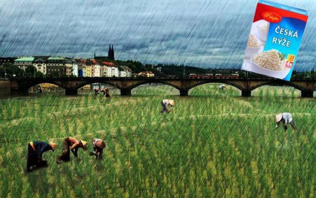 Že by budoucnost českého zemědělství...