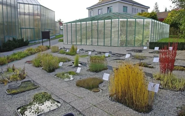 Takhle bude nový pavilon vypadat. Foto: Magistrát