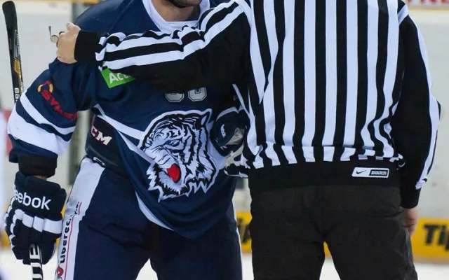 Bílí Tygři proti TPS Turku. Foto: Jaroslav Appeltauer