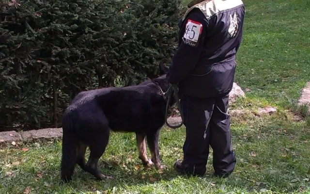 Soutěž v Pavlovicích