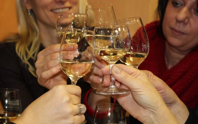 Svatomatinské víno 2010 Dům Vína CHATEAU LEDNICE Jablonec nad Ni 030
