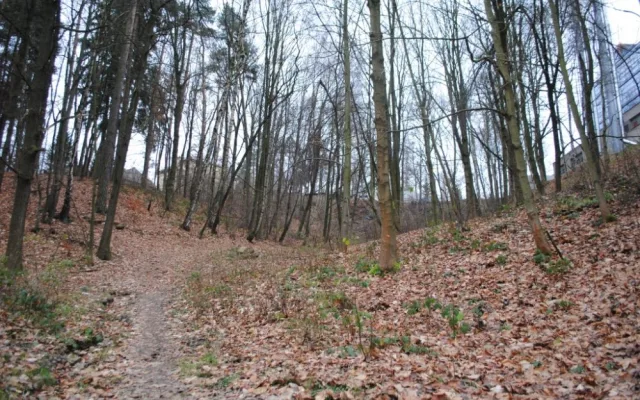 Lesopark u ZOO dostane injekci za miliony