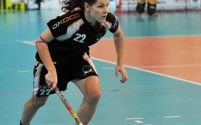 Nepovedený konec roku pro Crazyny. Foto: Jaroslav Appeltauer