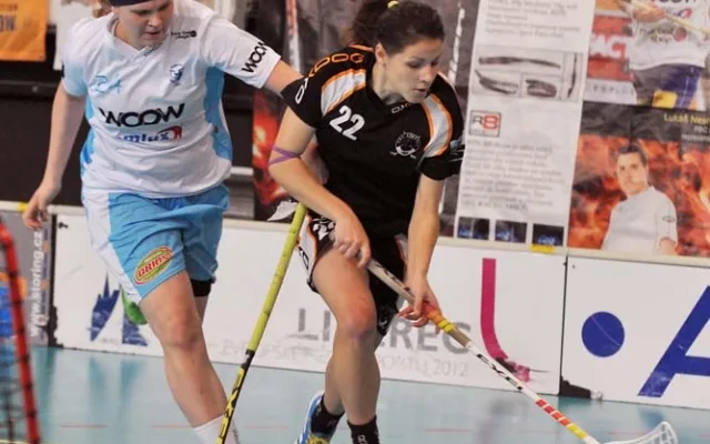 Nepovedený konec roku pro Crazyny. Foto: Jaroslav Appeltauer