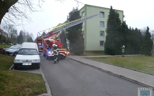 Kosáka vysvobodili ze sevření provázku až hasiči. Foto: Hasiči Hrádek nad Nisou