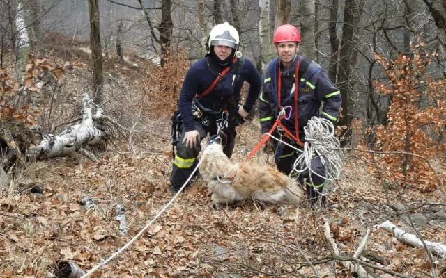 Záchrana psa byla fyzicky náročná. Foto: HZSLK