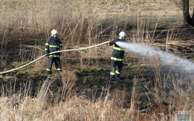Hrádečtí hasiči zasahovali v pátek odpoledne na hranicích s Polskem. Foto: Hasiči Hrádek nad Nisou