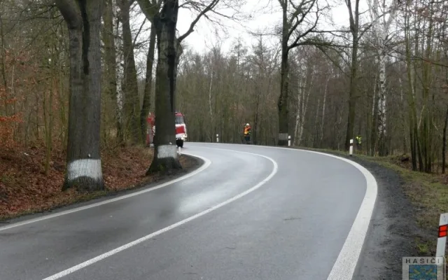 Řidič vyvázl ze Seatu bez zranění. Foto: Hasiči Hrádek nad Nisou