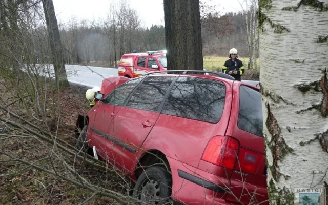 Řidič vyvázl ze Seatu bez zranění. Foto: Hasiči Hrádek nad Nisou