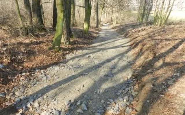 Aktuální stav lesoparku Střelnice. Foto: Město Frýdlant