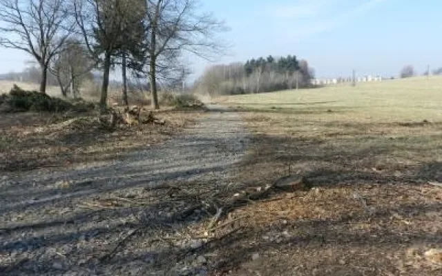Aktuální stav lesoparku Střelnice. Foto: Město Frýdlant