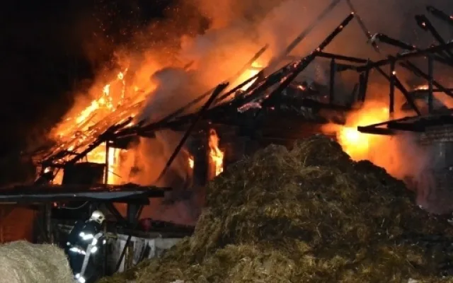 Při nočním požáru statku uhořely dvě krávy. Foto: HZSLK