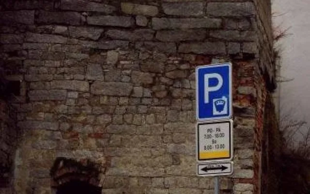 Kočka na zdi pod sociálkou
