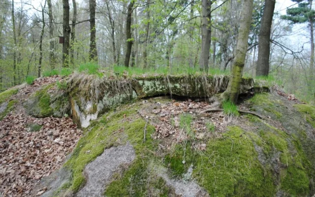 Zbytky rozhledny