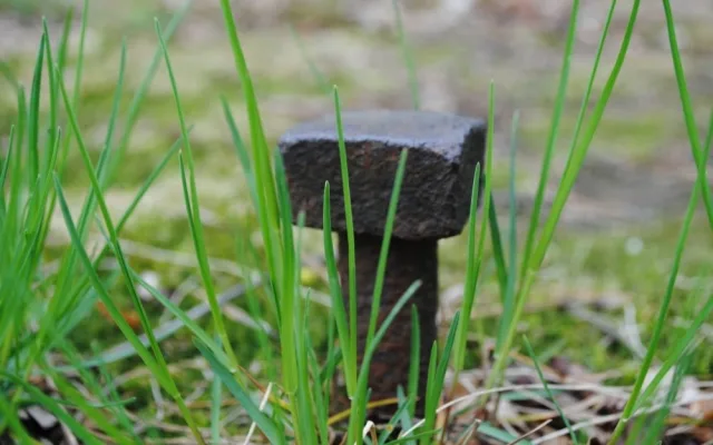 Detail šroubu