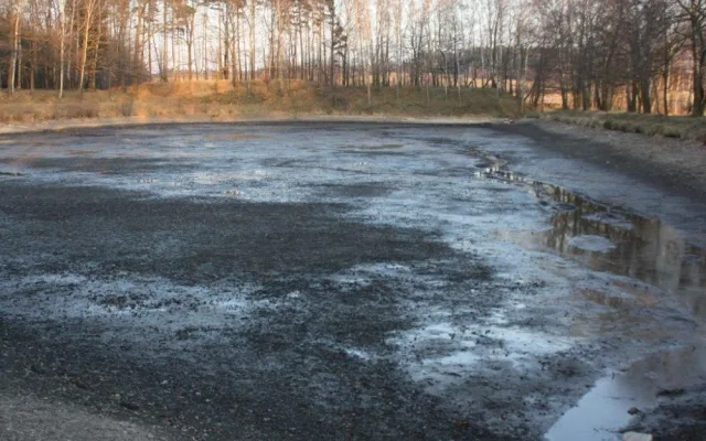 Rybník byl po letech zanešen vrstvou bahna