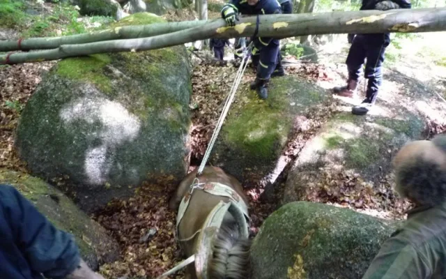 Hasiči se zapotili, tři hodiny tahali kobylu ze sevření balvanů. Foto: HZSLK