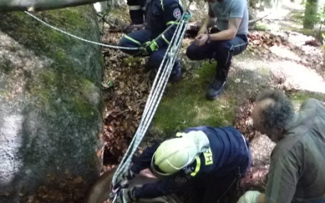 Hasiči se zapotili, tři hodiny tahali kobylu ze sevření balvanů. Foto: HZSLK