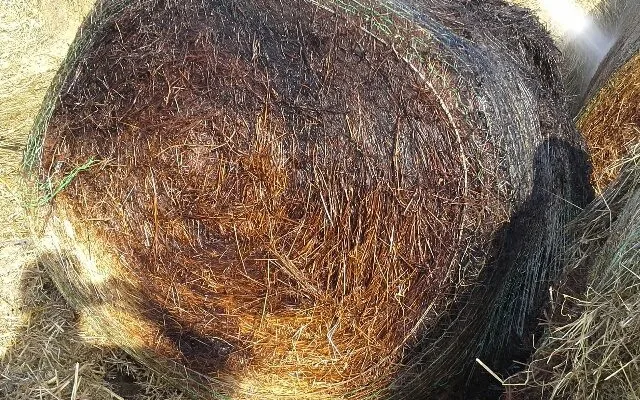 Požár hasiči likvidovali čtyřiadvacet hodin. Foto: HZSLK