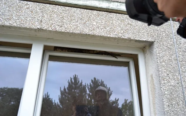 Dvoumetrový had ležel na otevřeném okně. Foto: HZS LK