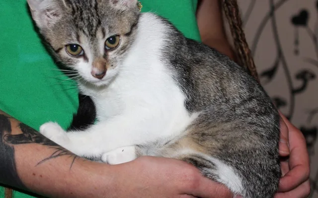 10714898_10202914206079043_1604518958_n